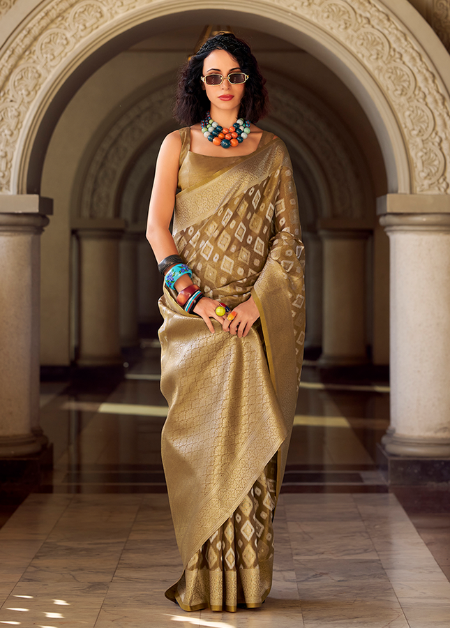 Rich Weaving,Tissue Silk Saree (Chiku)