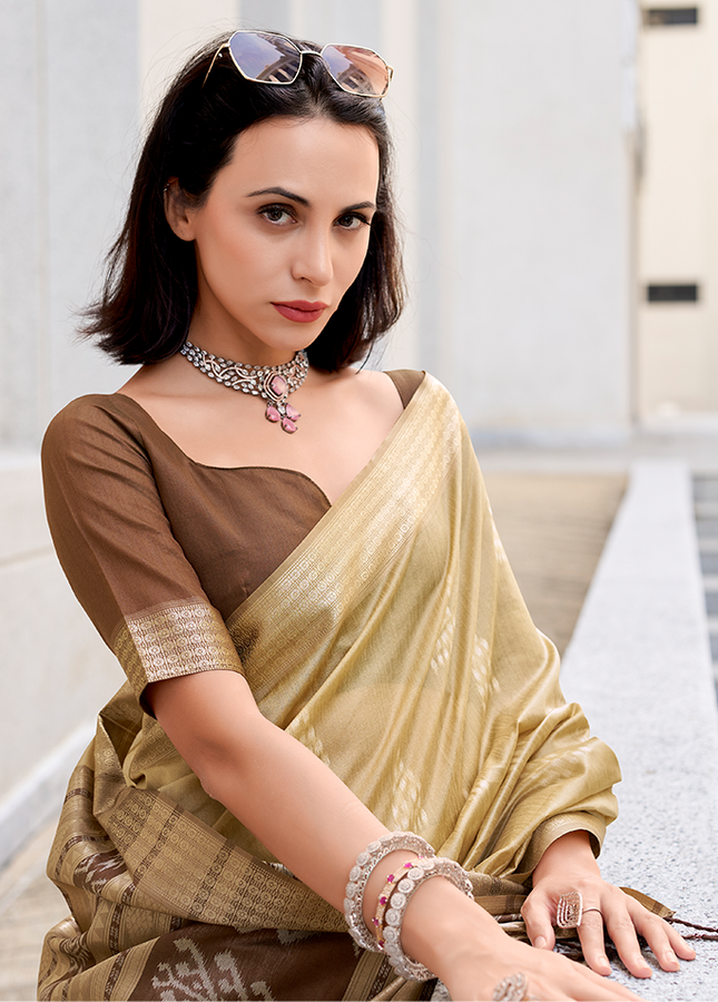 Ikkat Weaving, Reyon silk Contrast pallu Saree (Chiku)