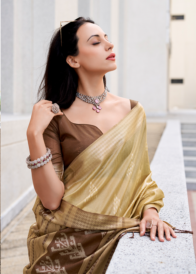 Ikkat Weaving, Reyon silk Contrast pallu Saree (Chiku)