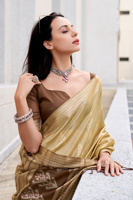 Ikkat Weaving, Reyon silk Contrast pallu Saree (Chiku)