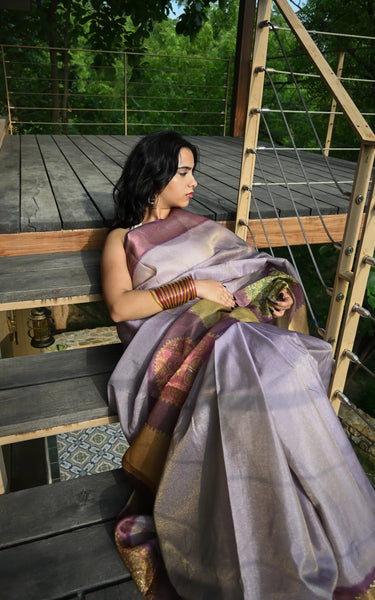 Cotton Tissue Saree With Aari Work, Multicolor Elephant & Tassels