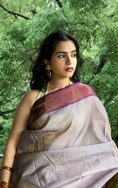 Cotton Tissue Saree With Aari Work, Multicolor Elephant & Tassels