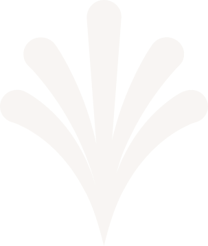 <h5>Upto </h5><h2><strong>60% off</strong></h2>